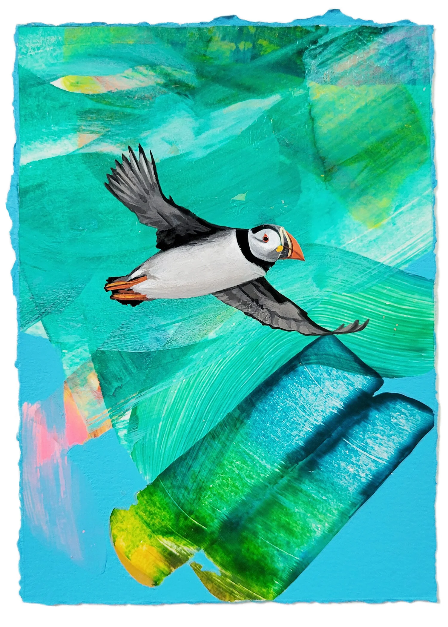 puffin.jpg