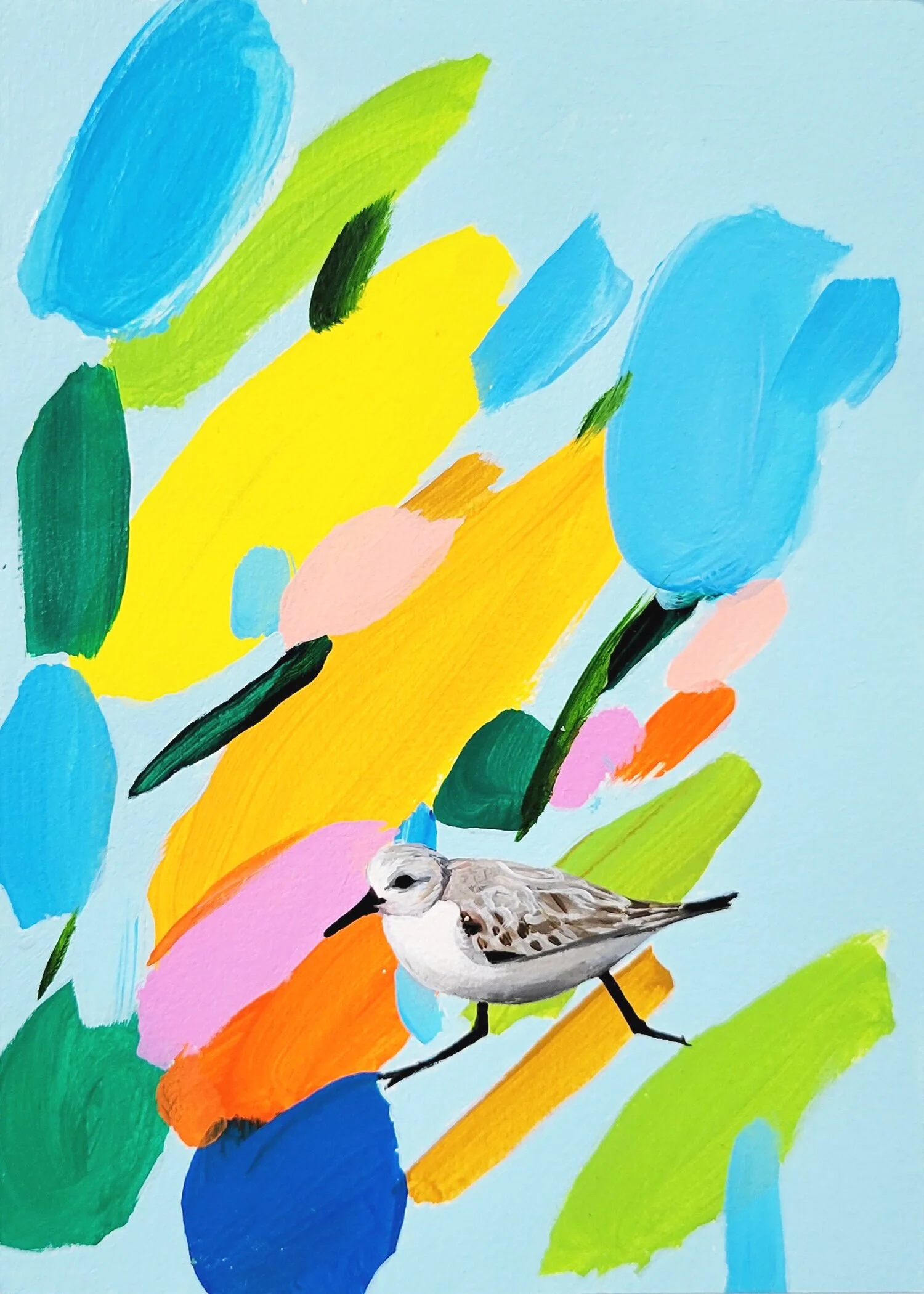 sanderling.jpg