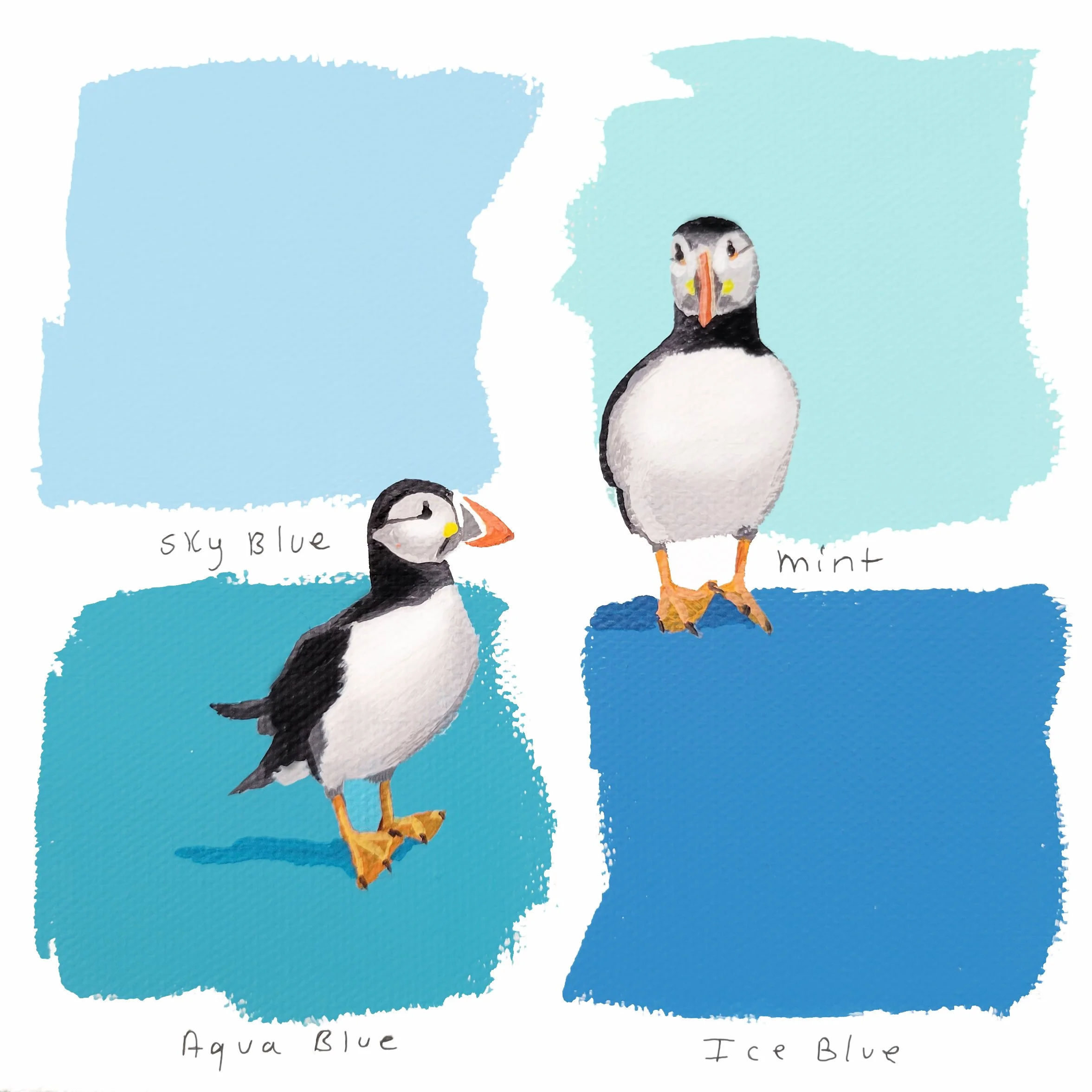 puffins.jpg