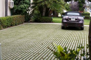 drivable-grass.jpg