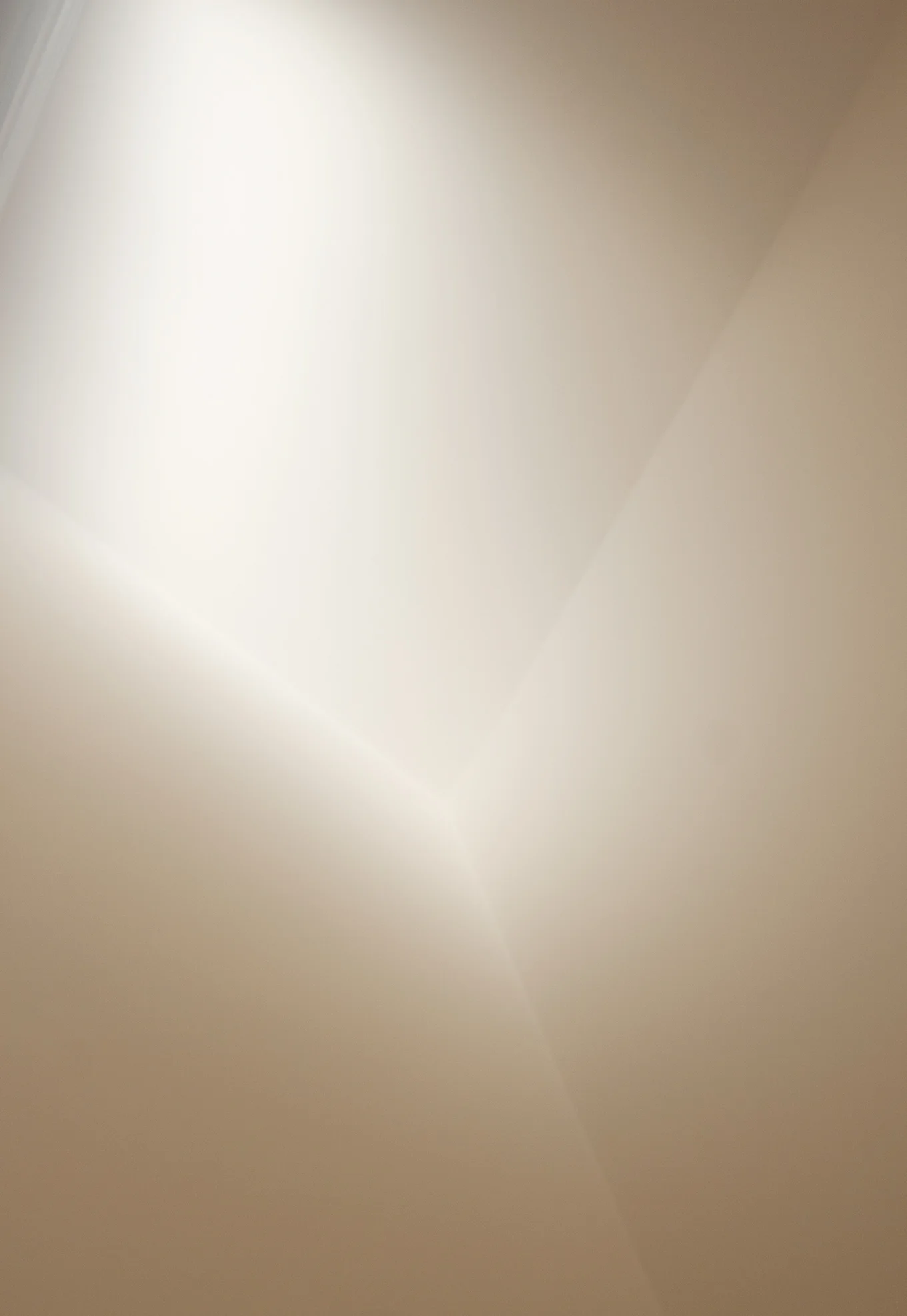 Coloration light.jpg