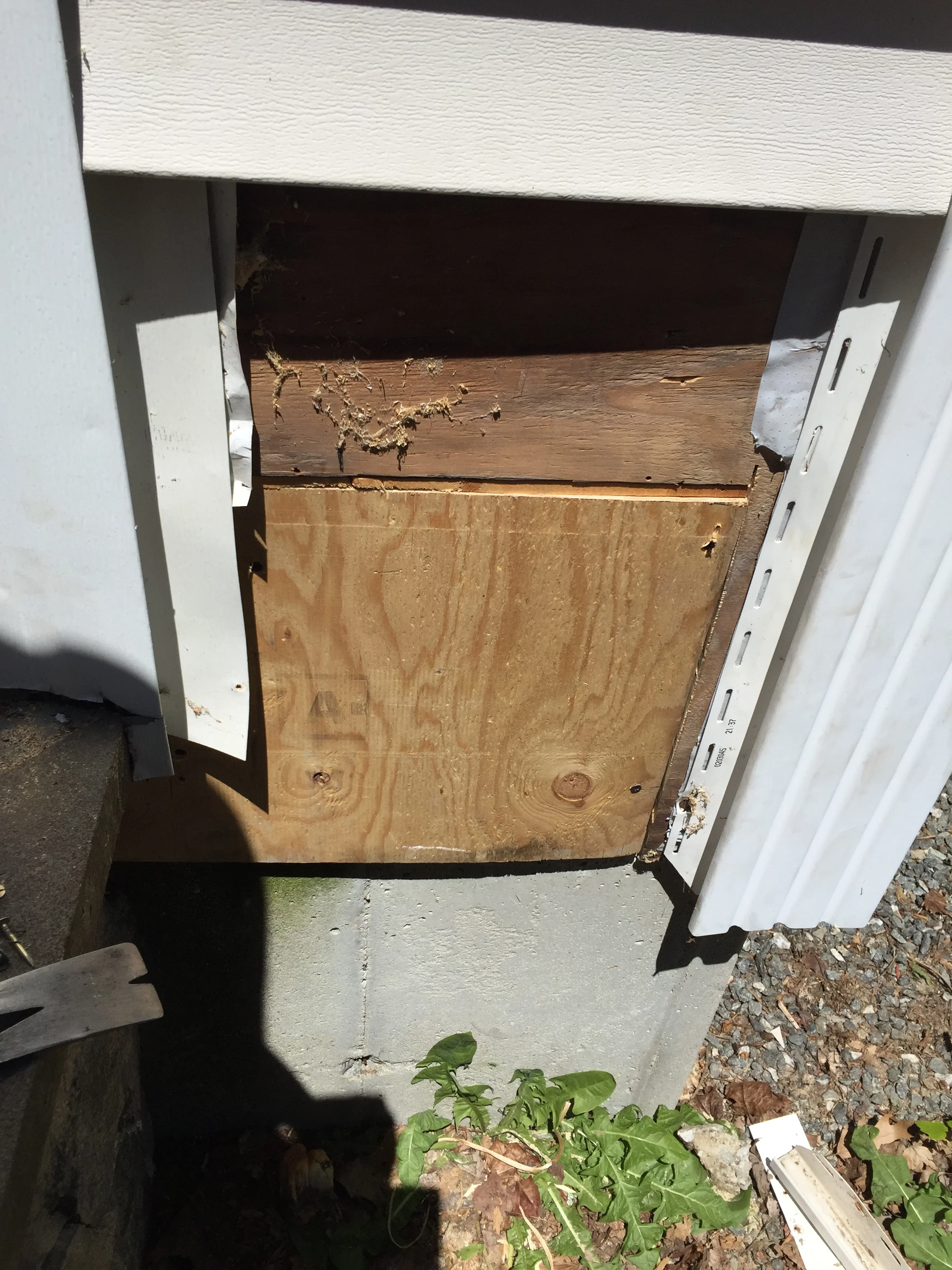 New plywood boards - exterior view under the siding