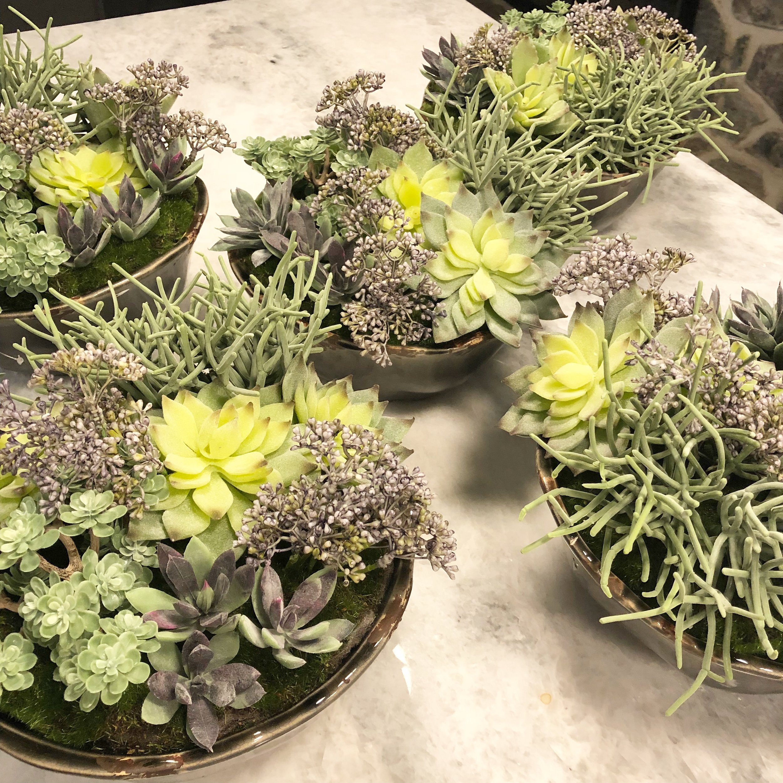 One Of A Kind Succulent Arrangements Allison Ducharme