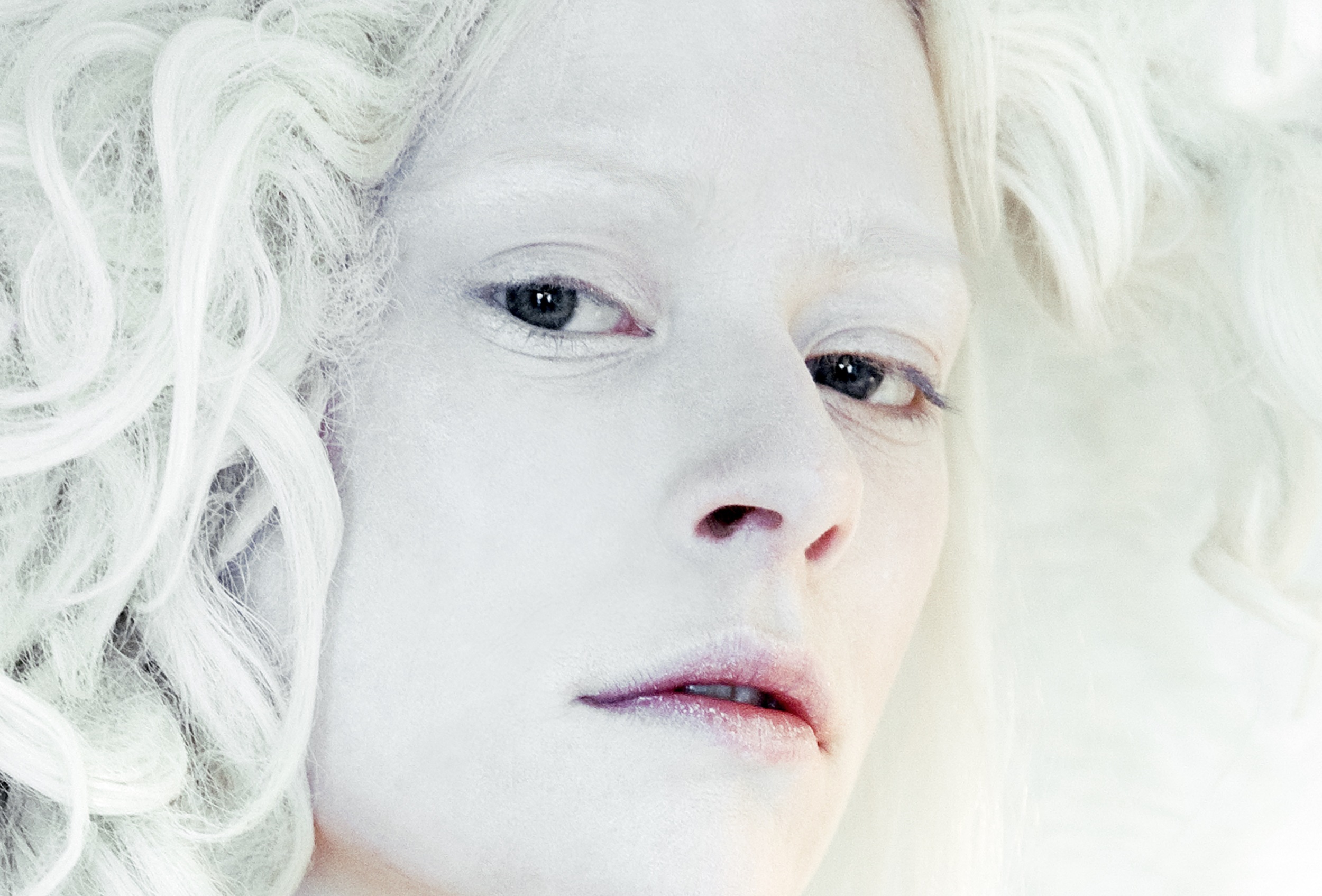 IMG_6094crop@240dpi.jpg