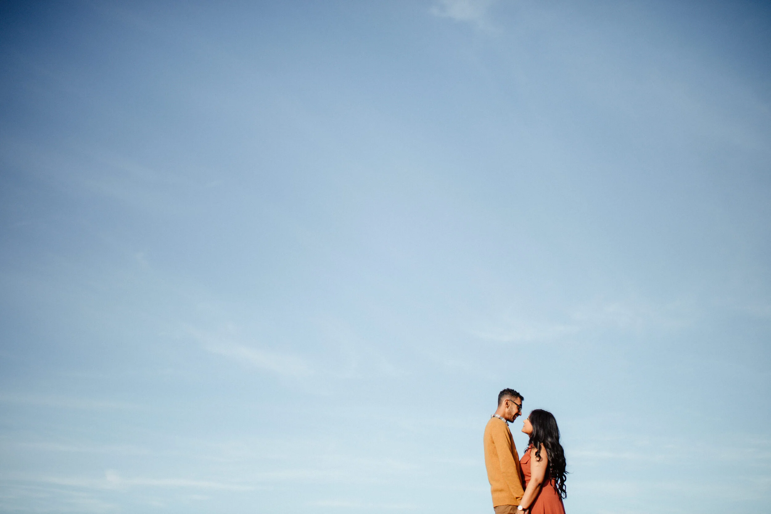 Aruchika &amp; Dinesh - Richmond