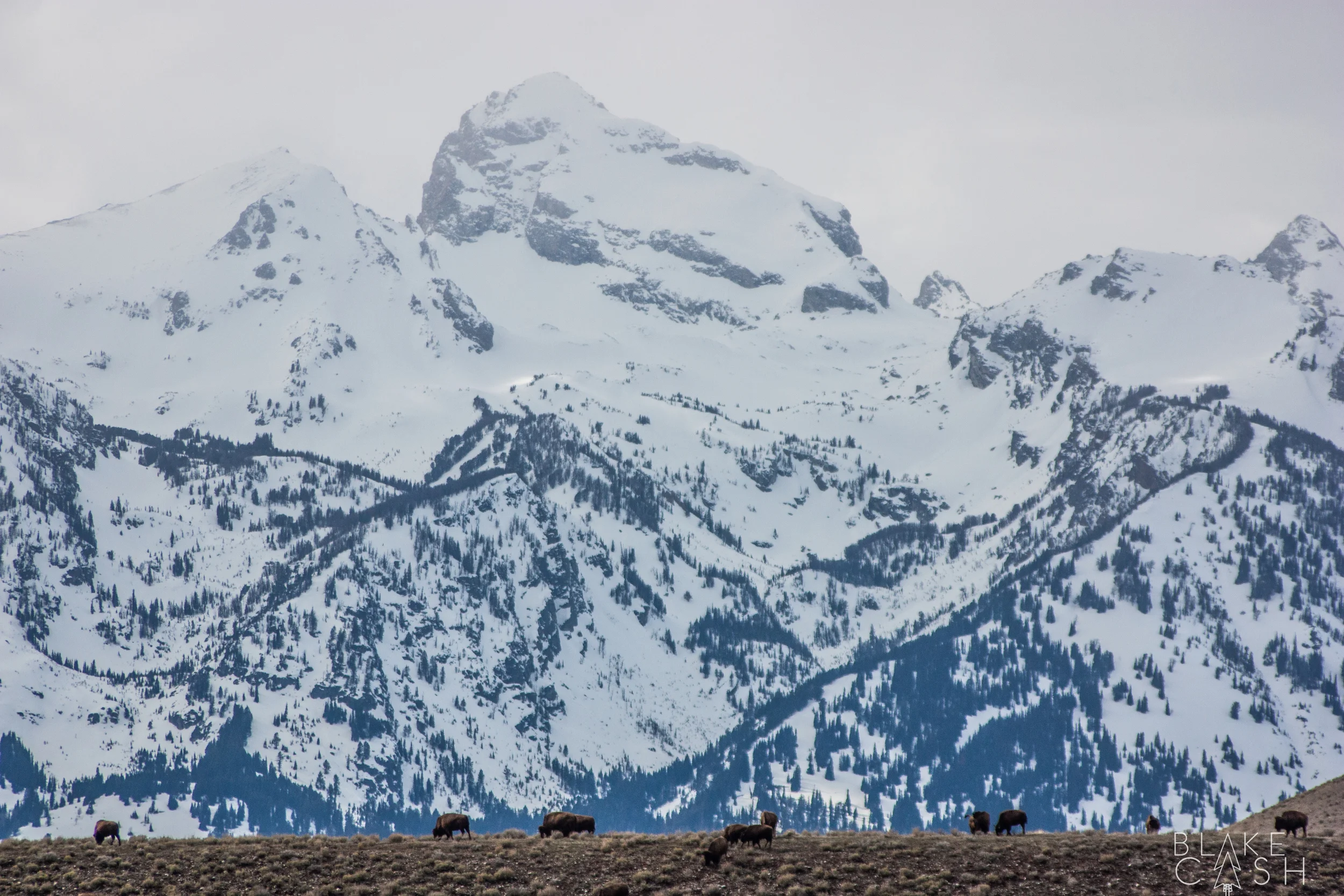 Life Under the Tetons