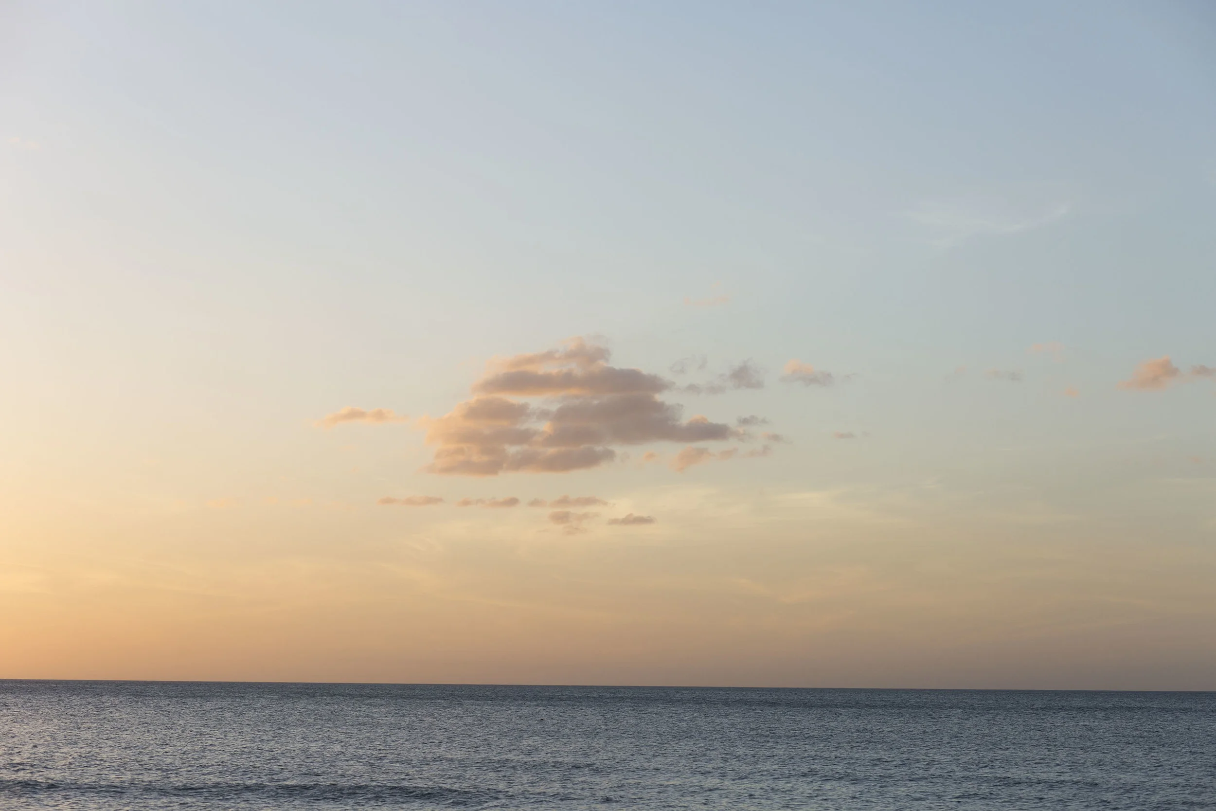 Thanksgiving on the Beach