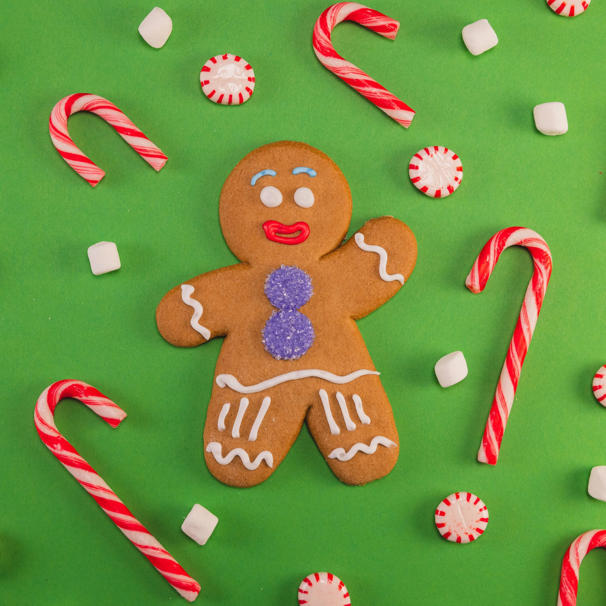 25-7025466 Holidays F&B_GINGY COOKIE_789.JPG