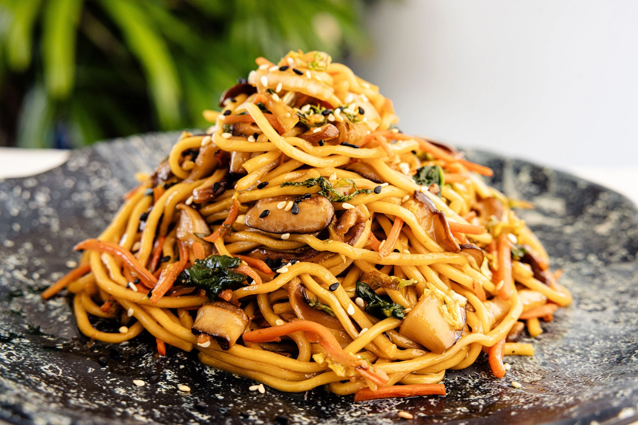 AVENTURA_BAR17_STIR FRY NOODLES_3168.JPG
