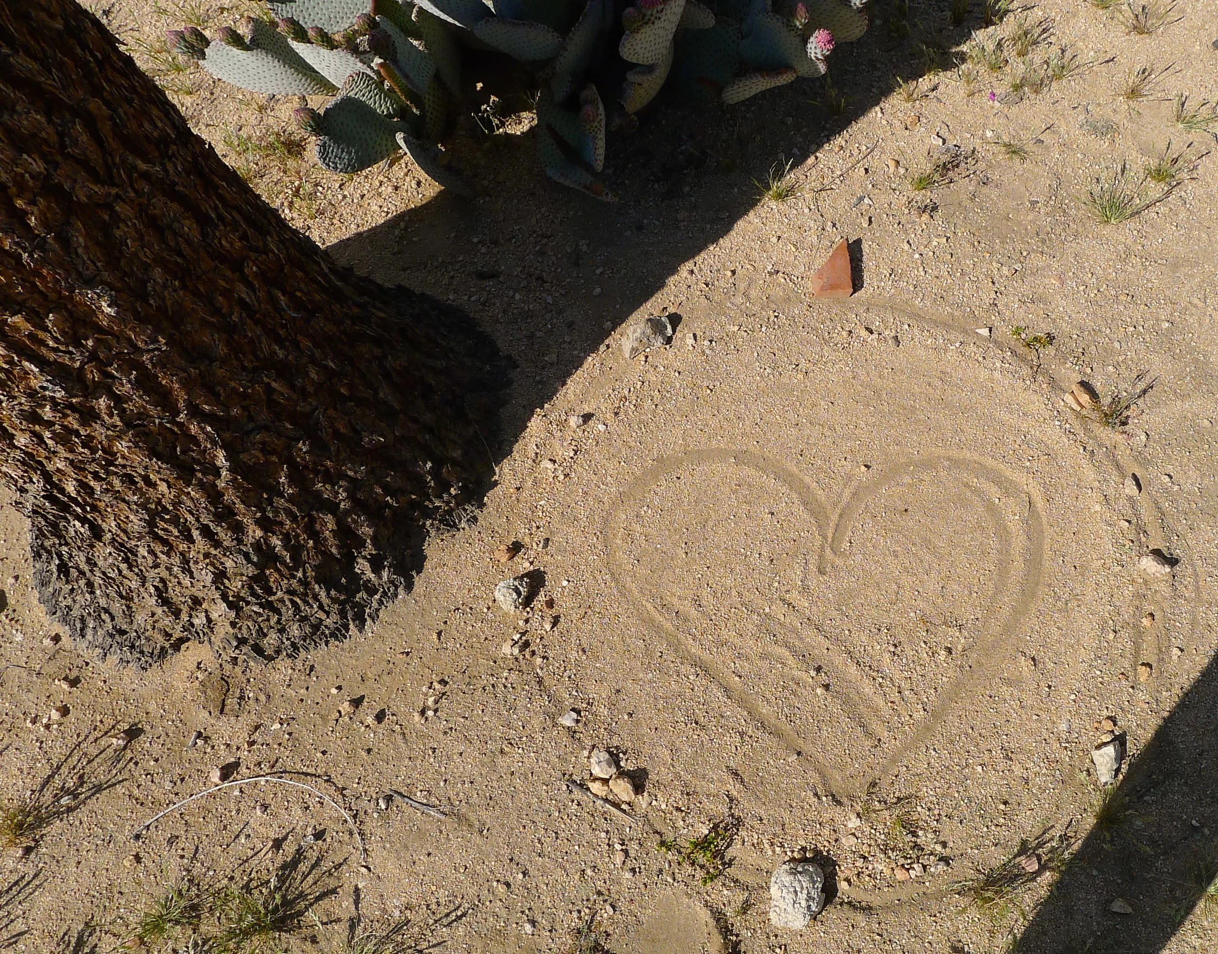 Closing of my first sand painting, offering unconditional love to all sentient beings~