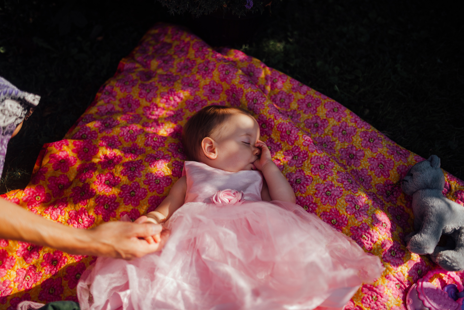 DSC_0441_t8p6fn.jpg