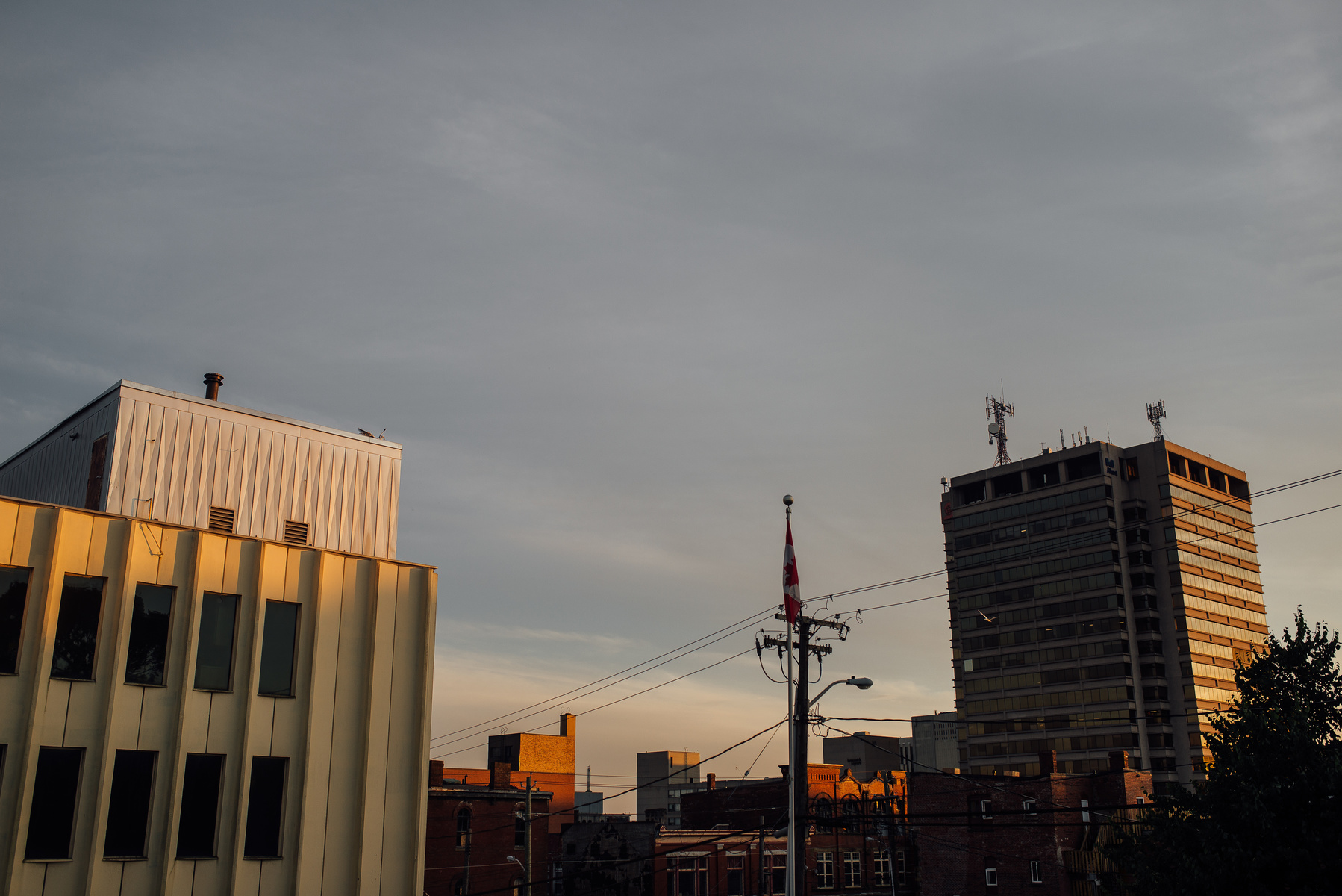 DSC_6205_rtk2mh.jpg