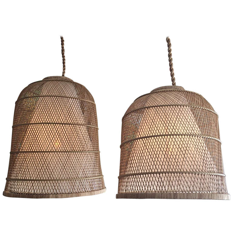 roost basket cloche lamp.jpeg