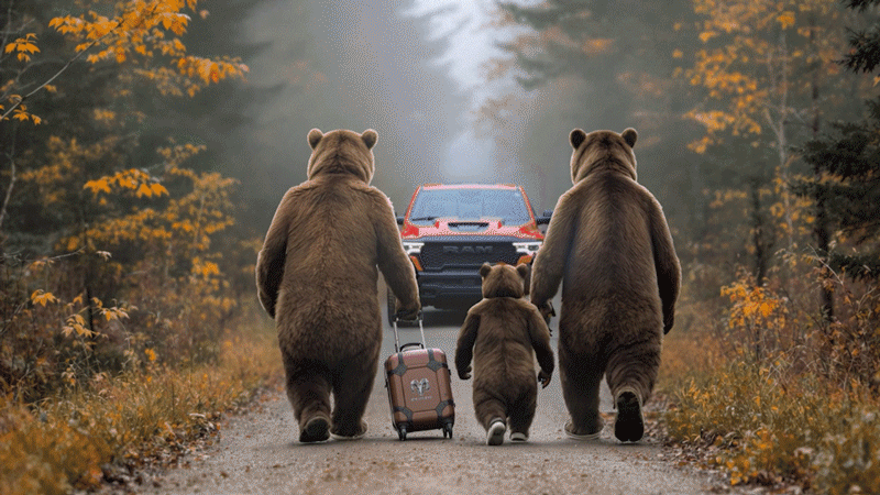bears_walking.gif