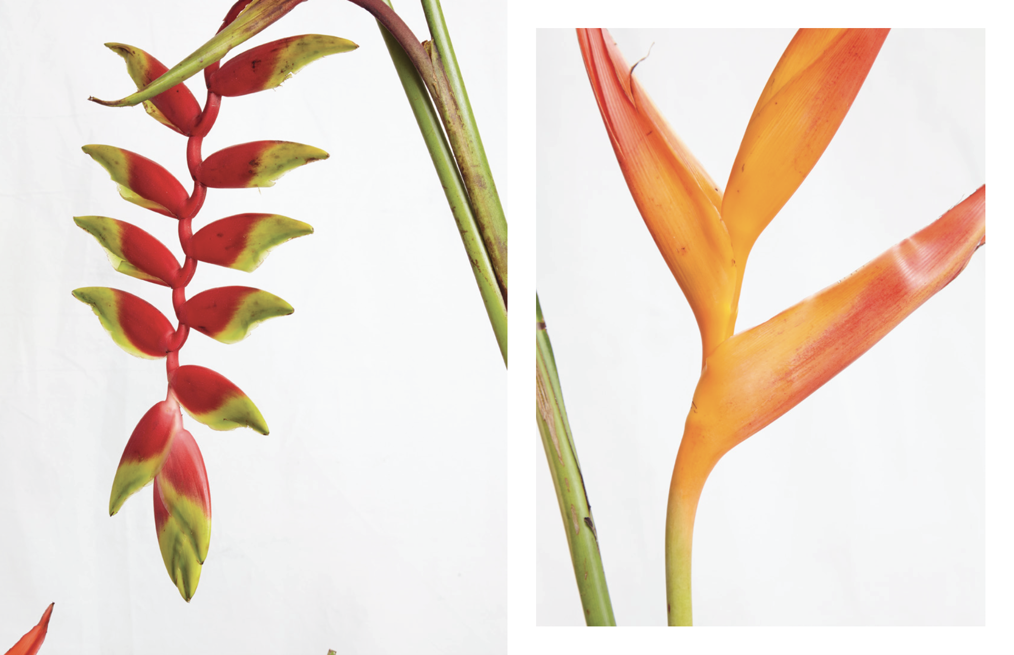 Screen Shot 2022-03-09 at 2.03.41 PM.png