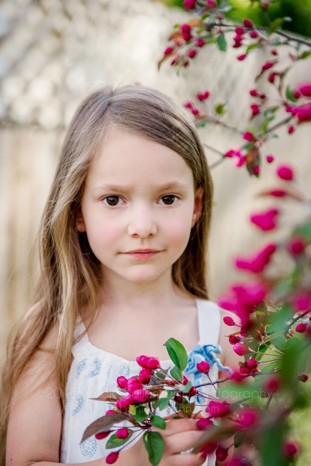 webBCD_5532-Edit.jpg