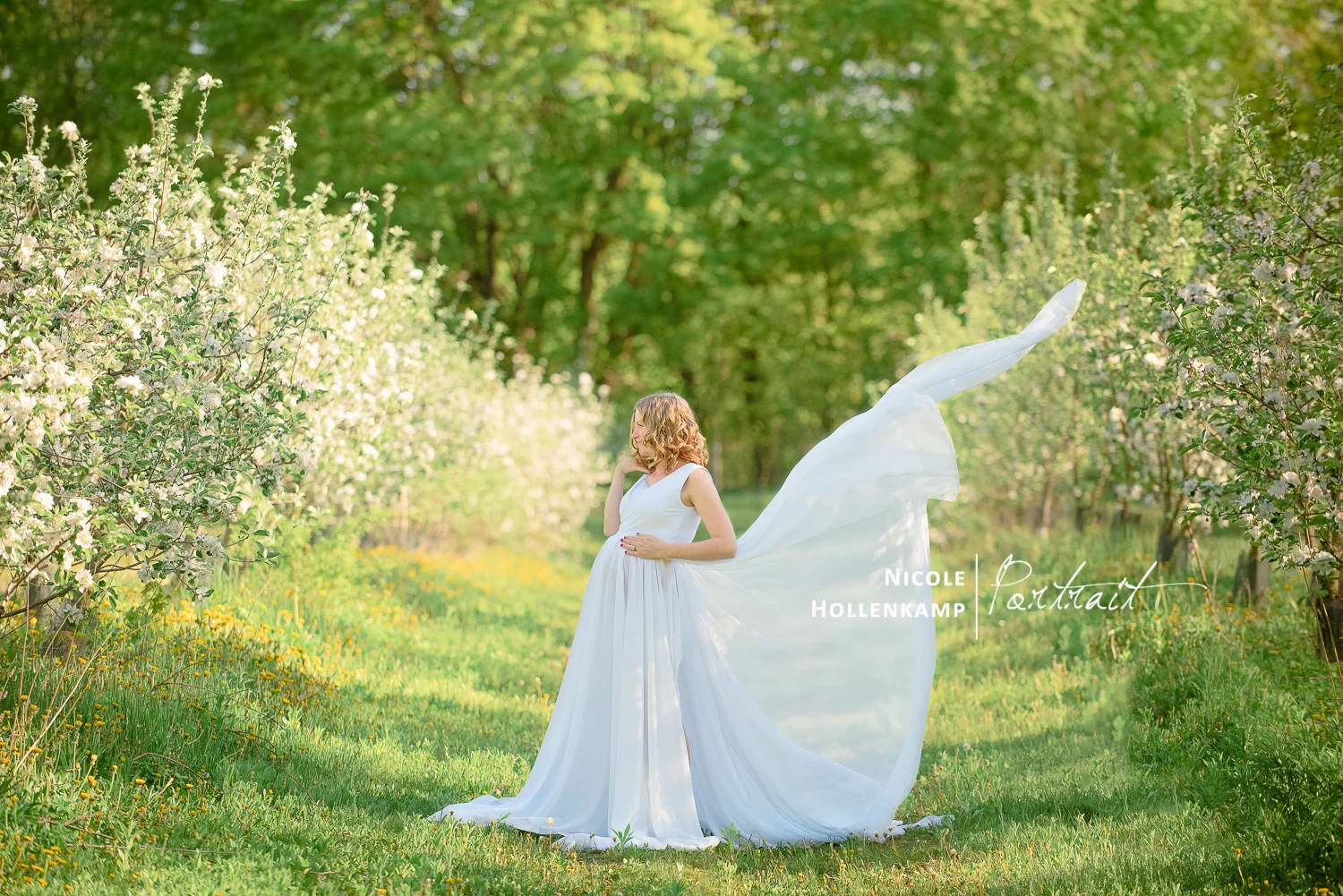 Newborn and Portrait Photography
