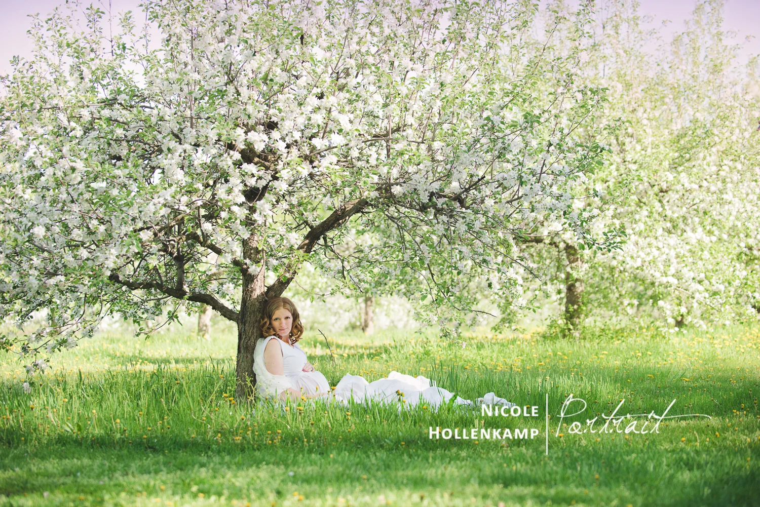 Newborn and Portrait Photography