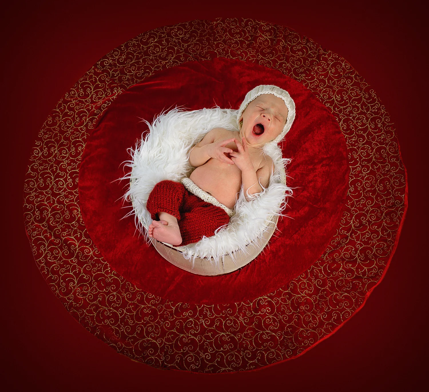 Newborn and Portrait Photography