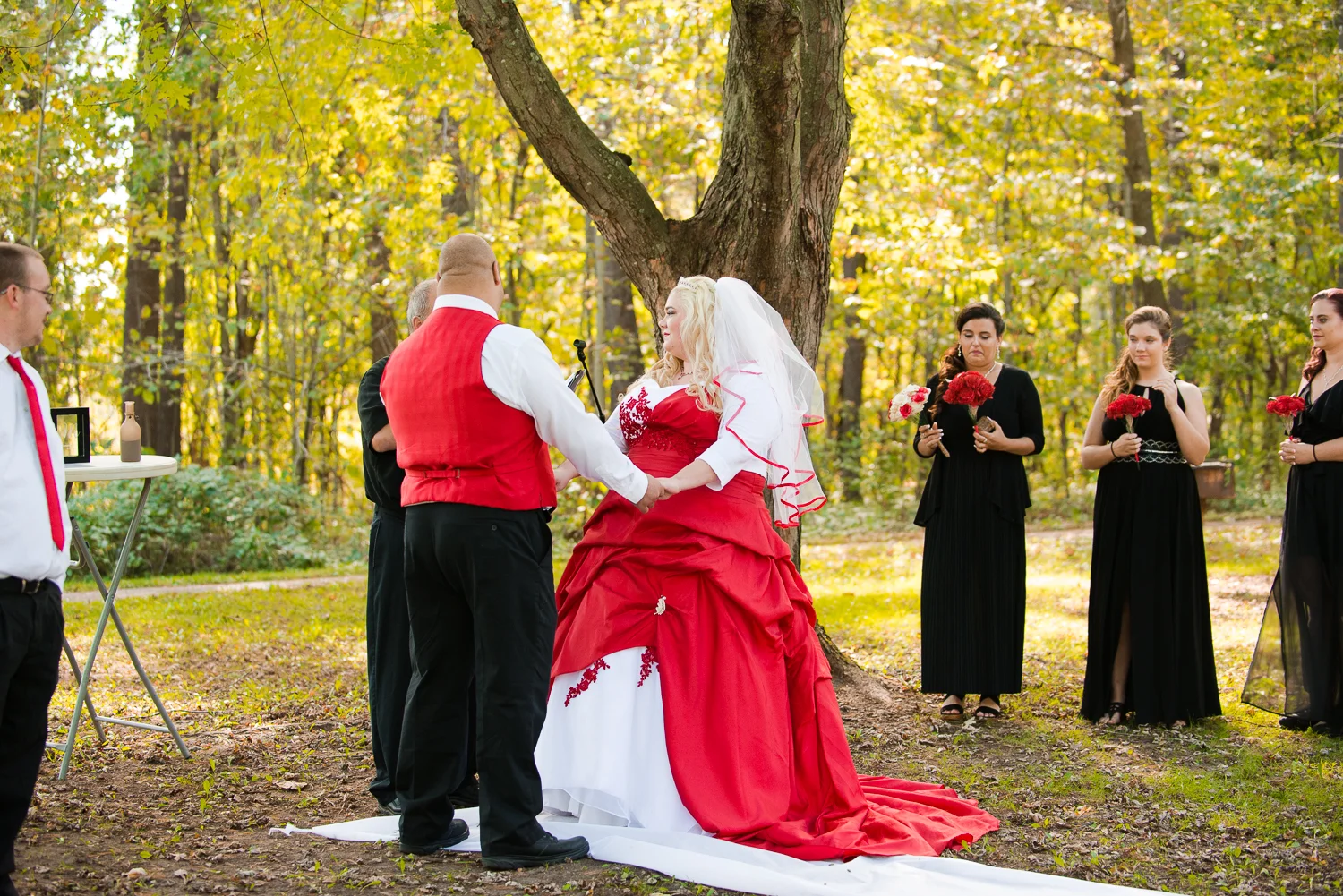 Wedding, Engagement and Portrait Photography