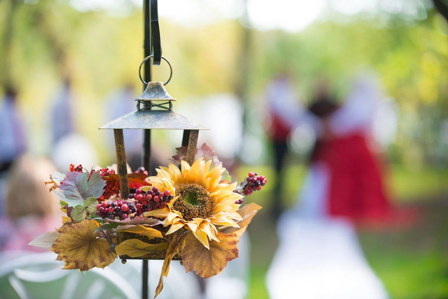 Wedding, Engagement and Portrait Photography