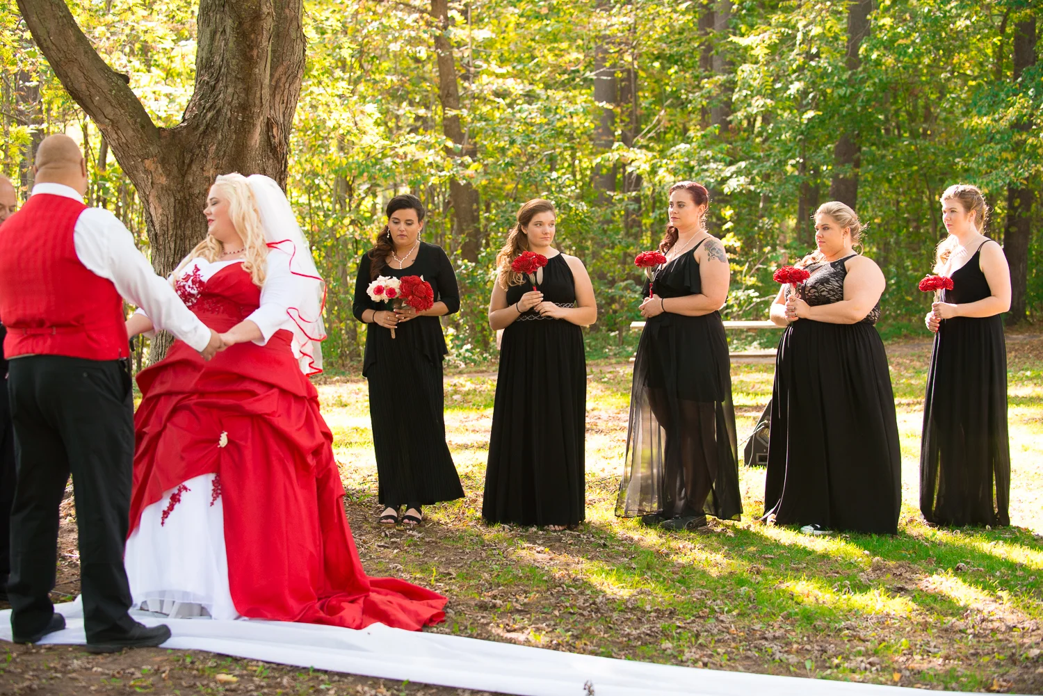 Wedding, Engagement and Portrait Photography