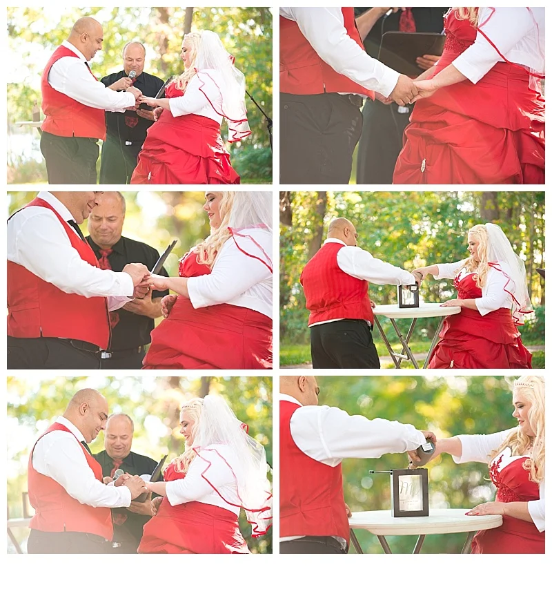 Wedding, Engagement and Portrait Photography