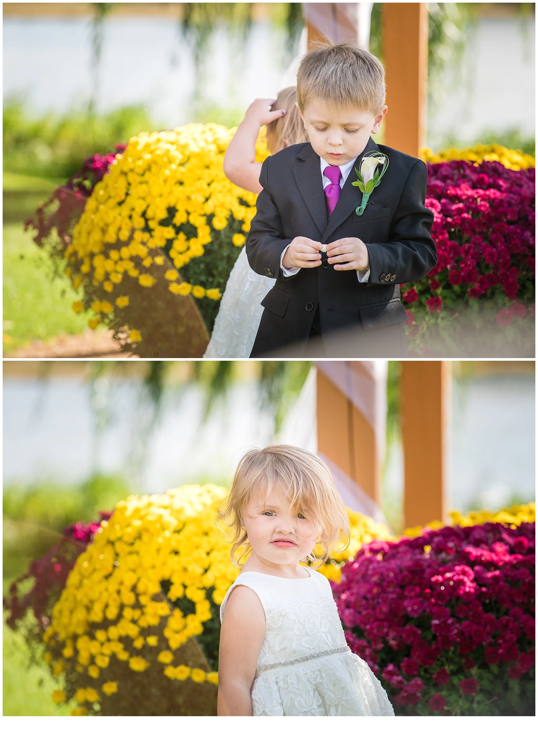 Wedding, Engagement and Portrait Photography