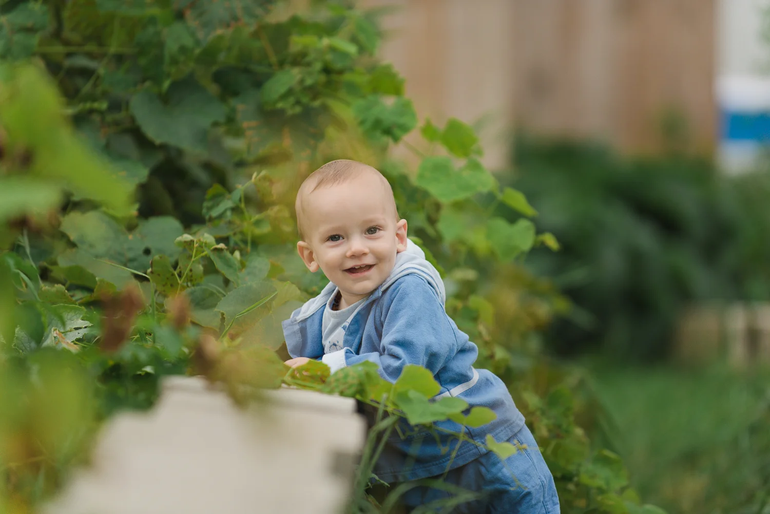 Newborn and Portrait Photography
