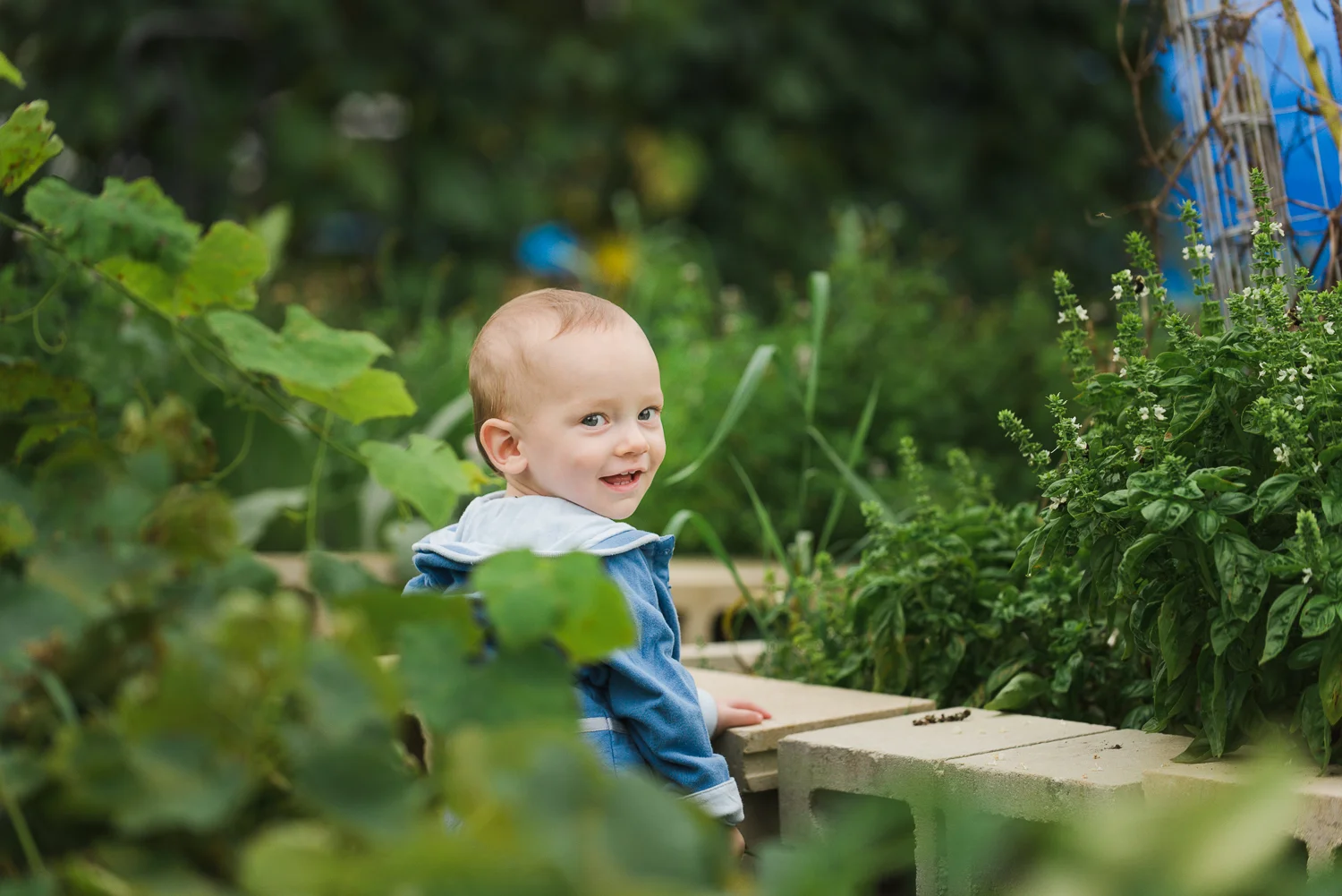 Newborn and Portrait Photography