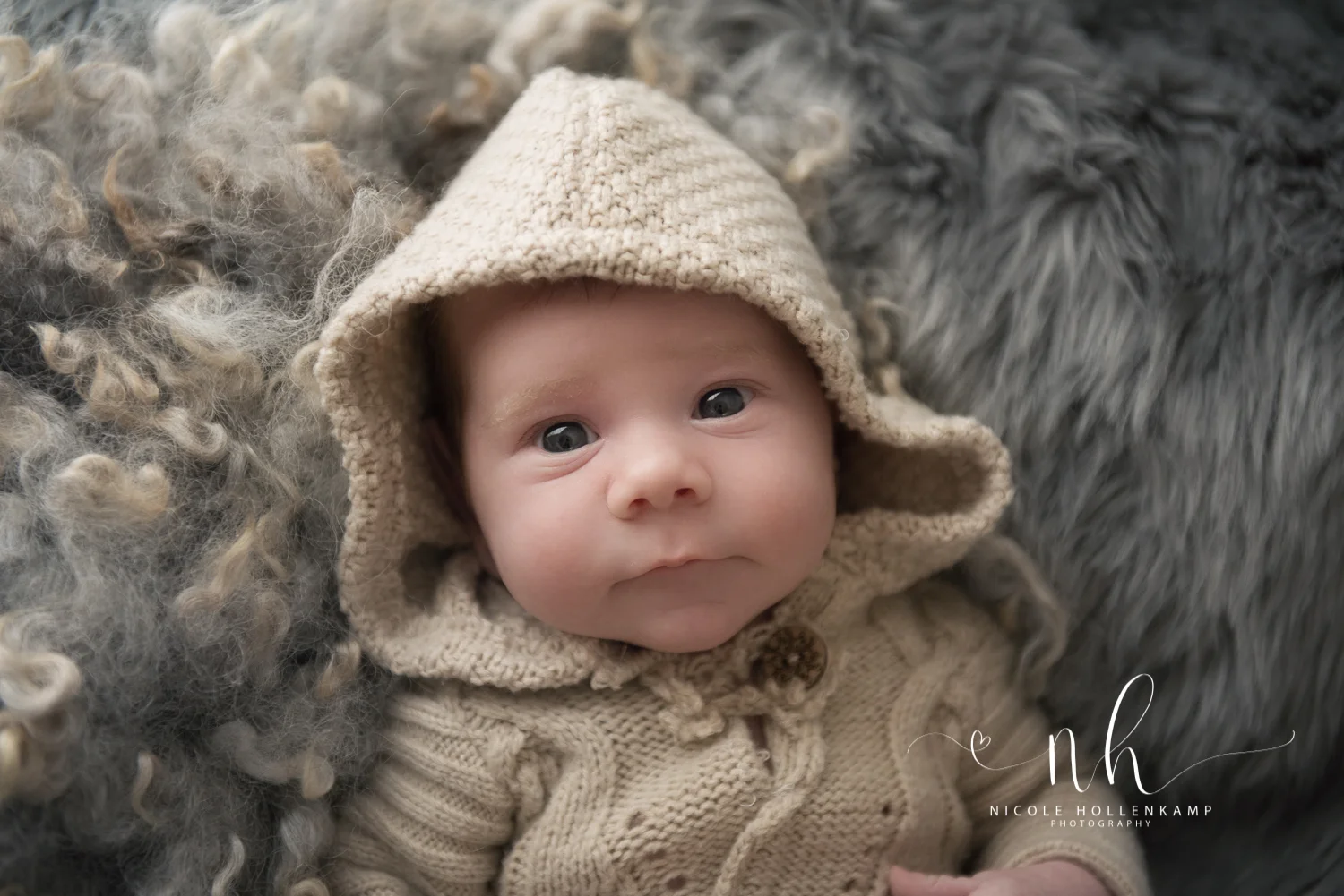 Newborn and Portrait Photography