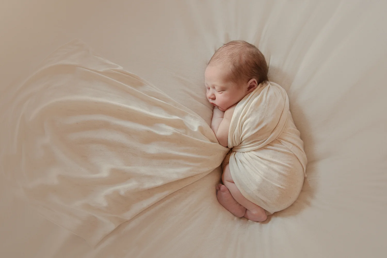 Newborn and Portrait Photography