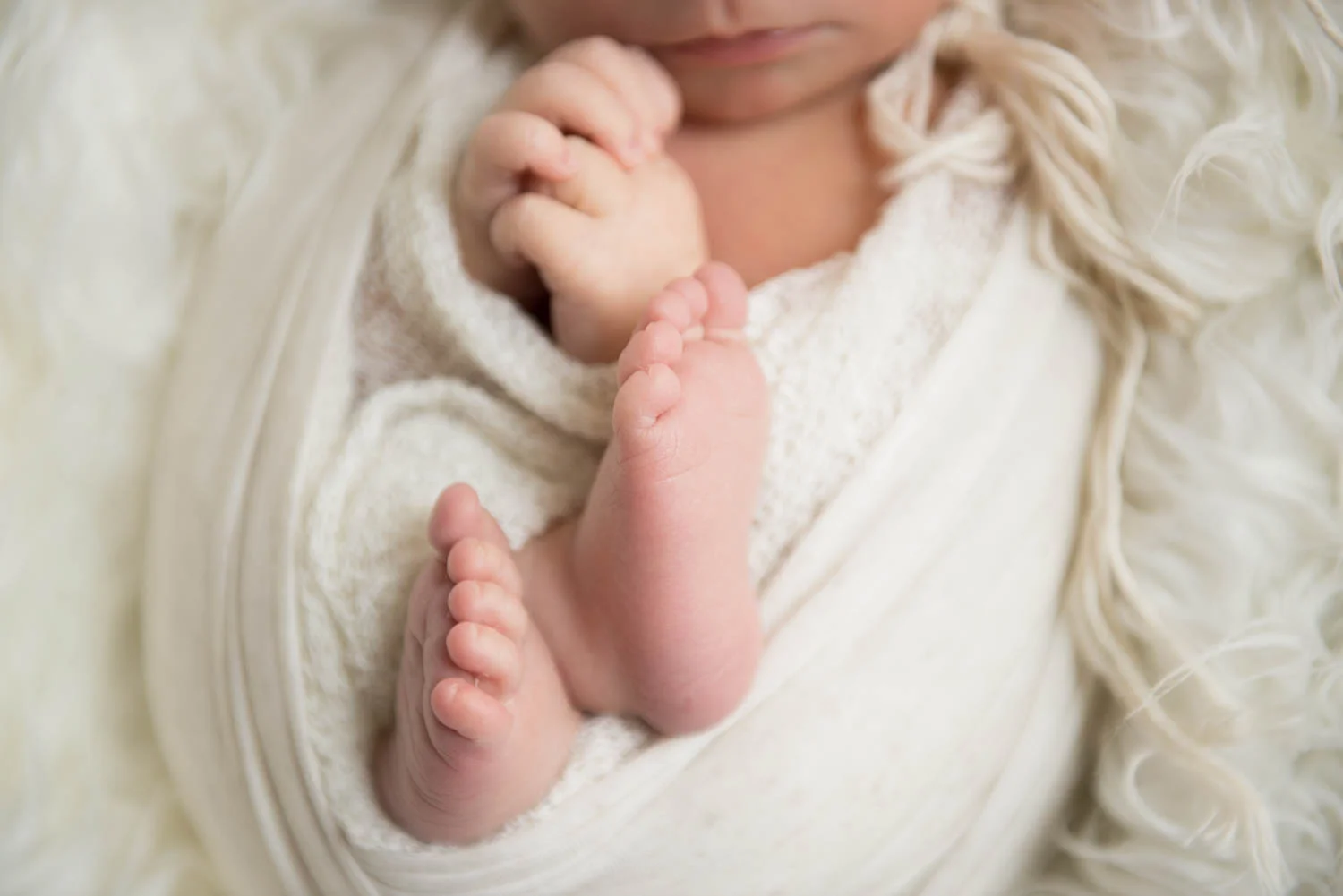Newborn and Portrait Photography