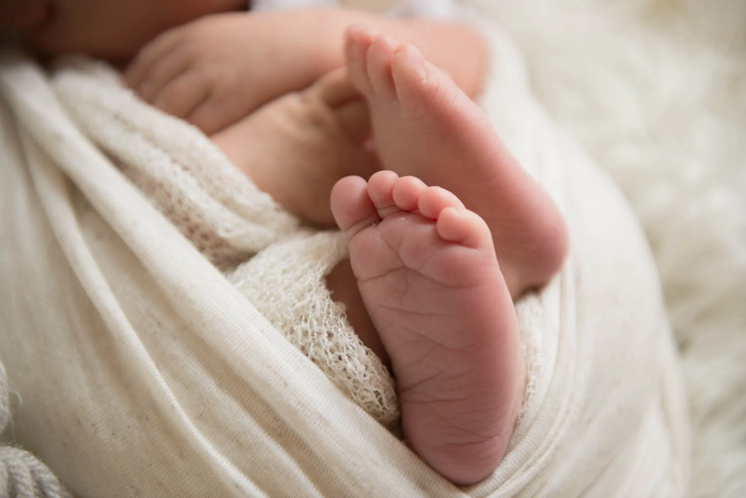 Newborn and Portrait Photography