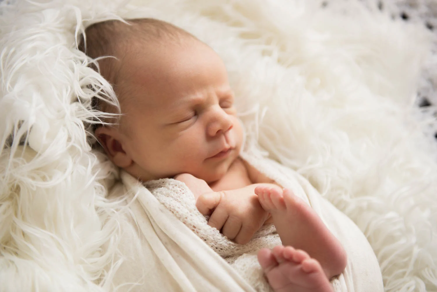 Newborn and Portrait Photography