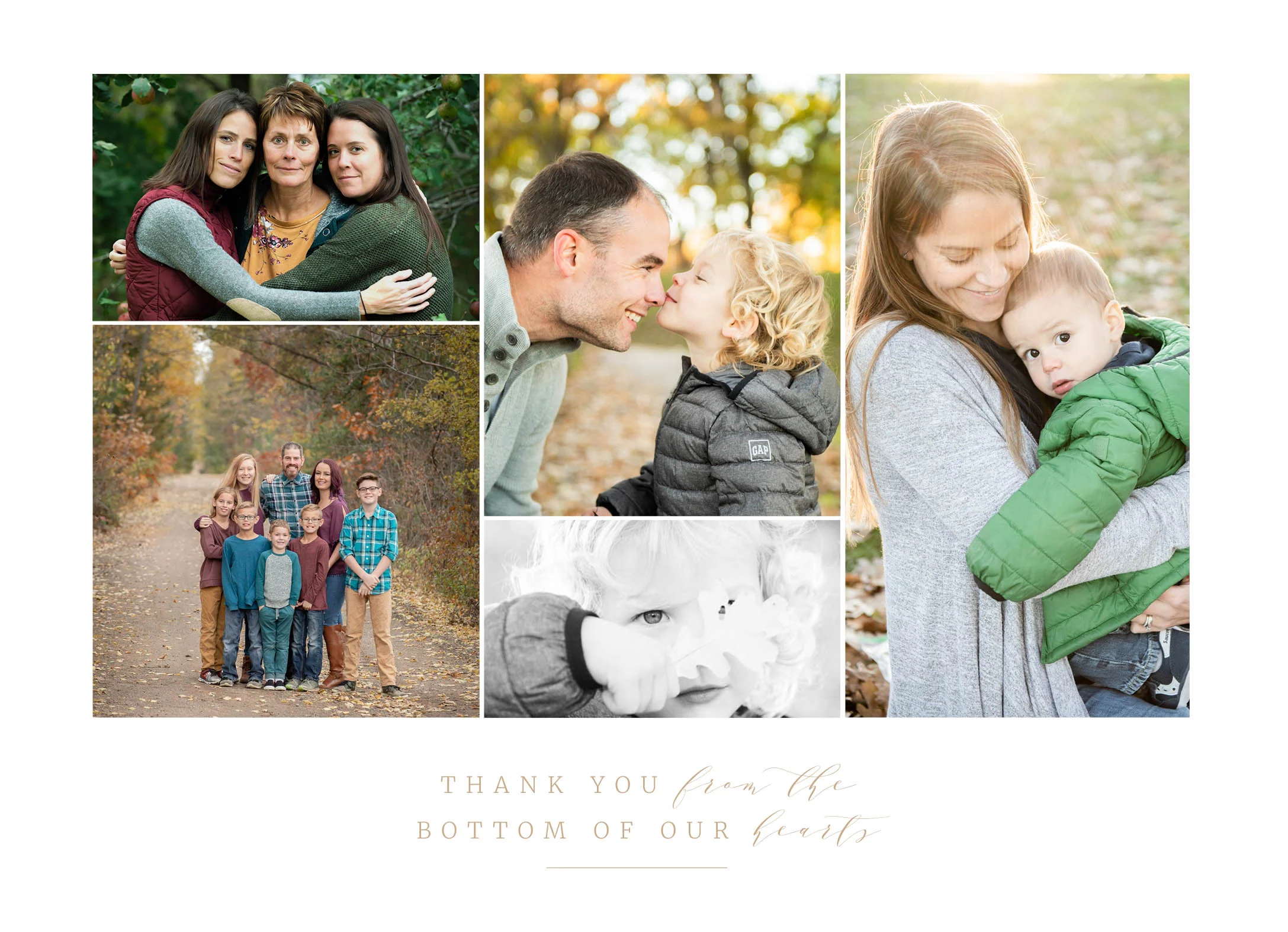 Newborn and Portrait Photography