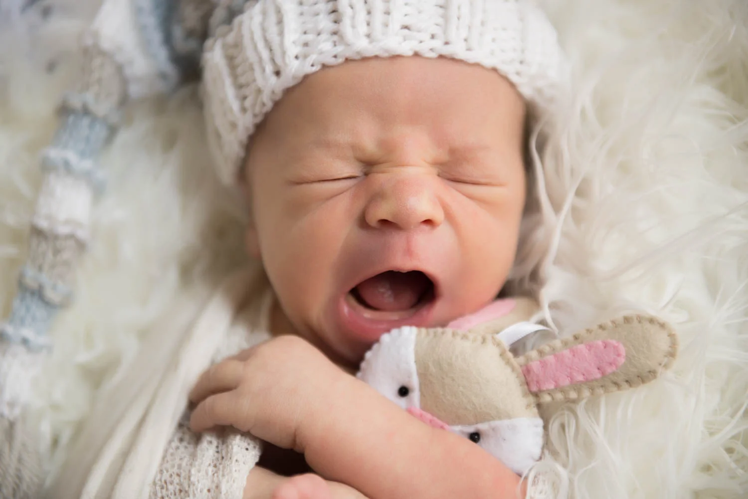 Newborn and Portrait Photography