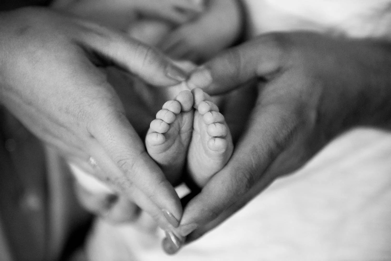Newborn and Portrait Photography