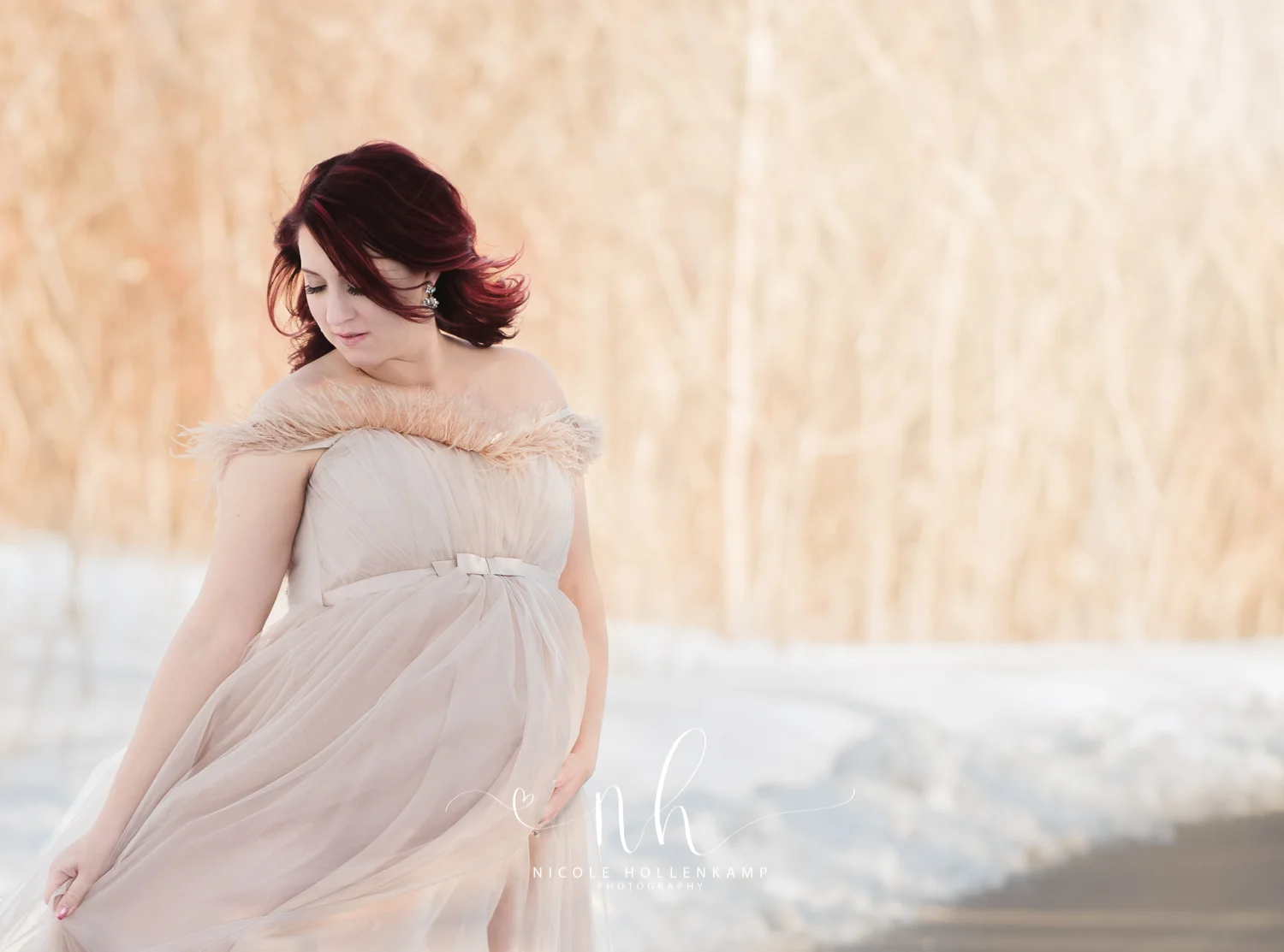 Maternity Photography