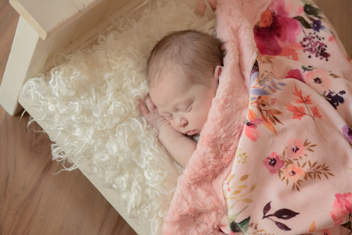 Newborn and Portrait Photography