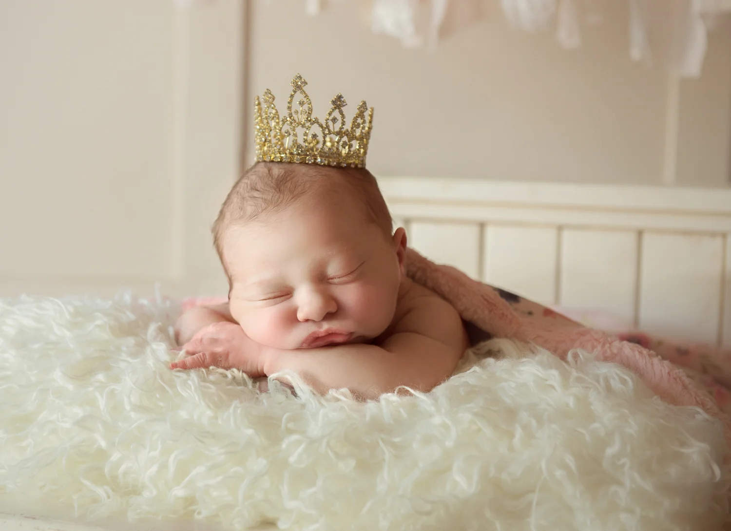 Newborn and Portrait Photography