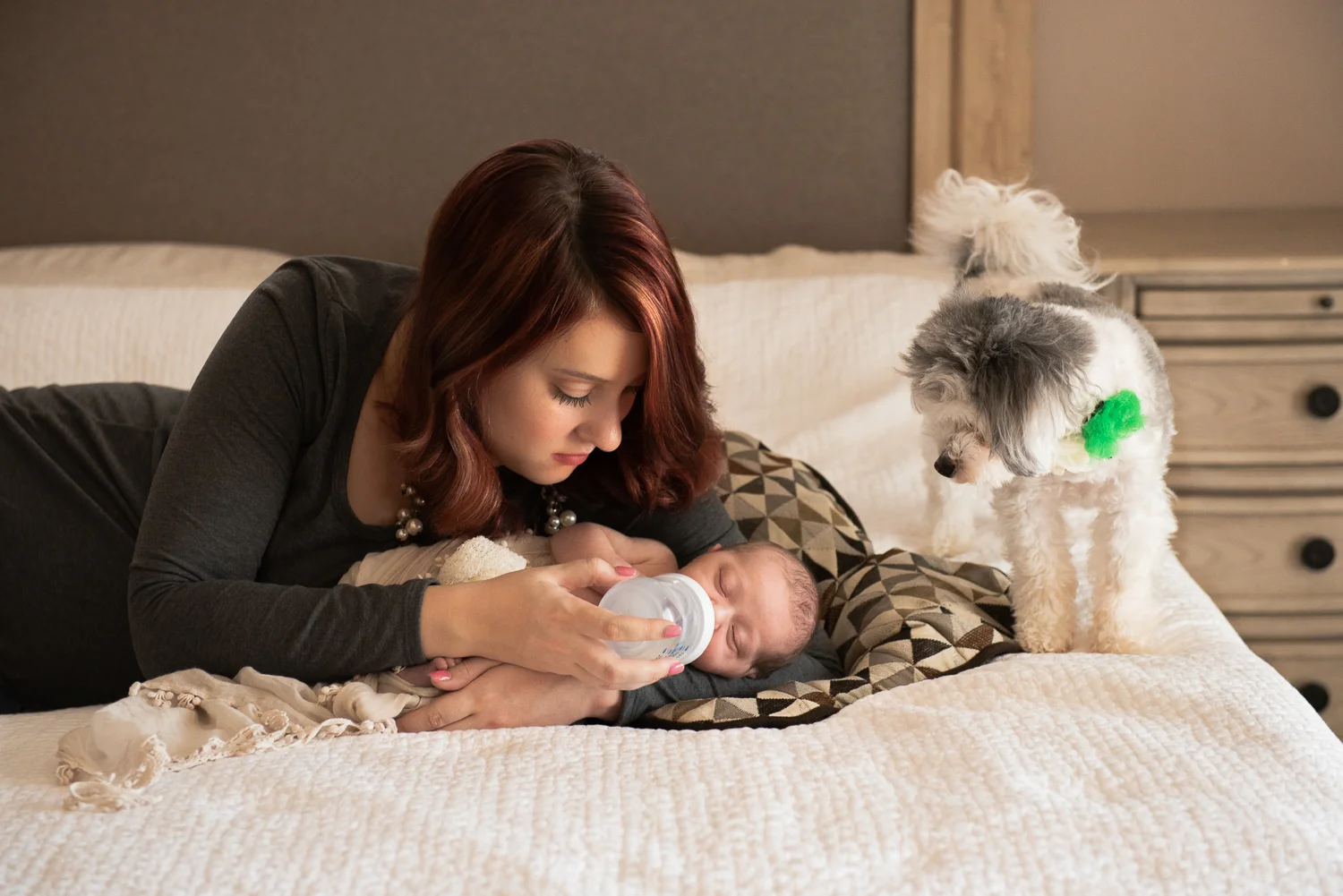 Newborn and Portrait Photography