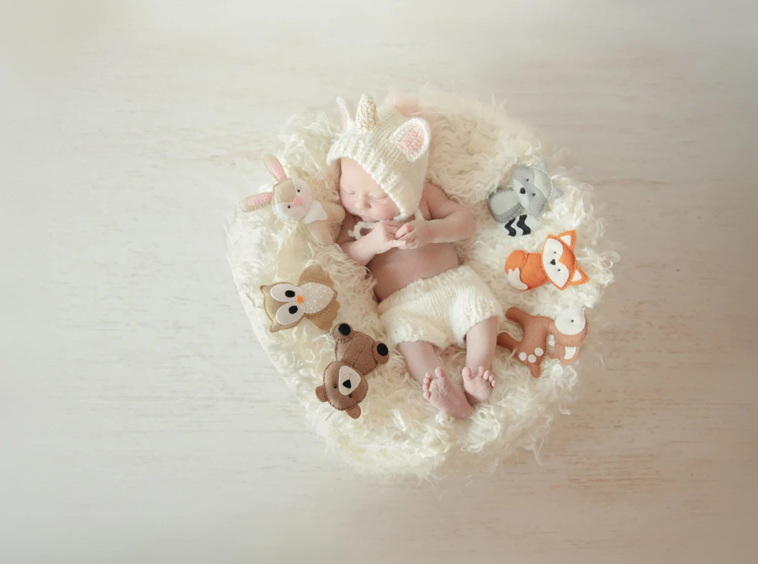 Newborn and Portrait Photography