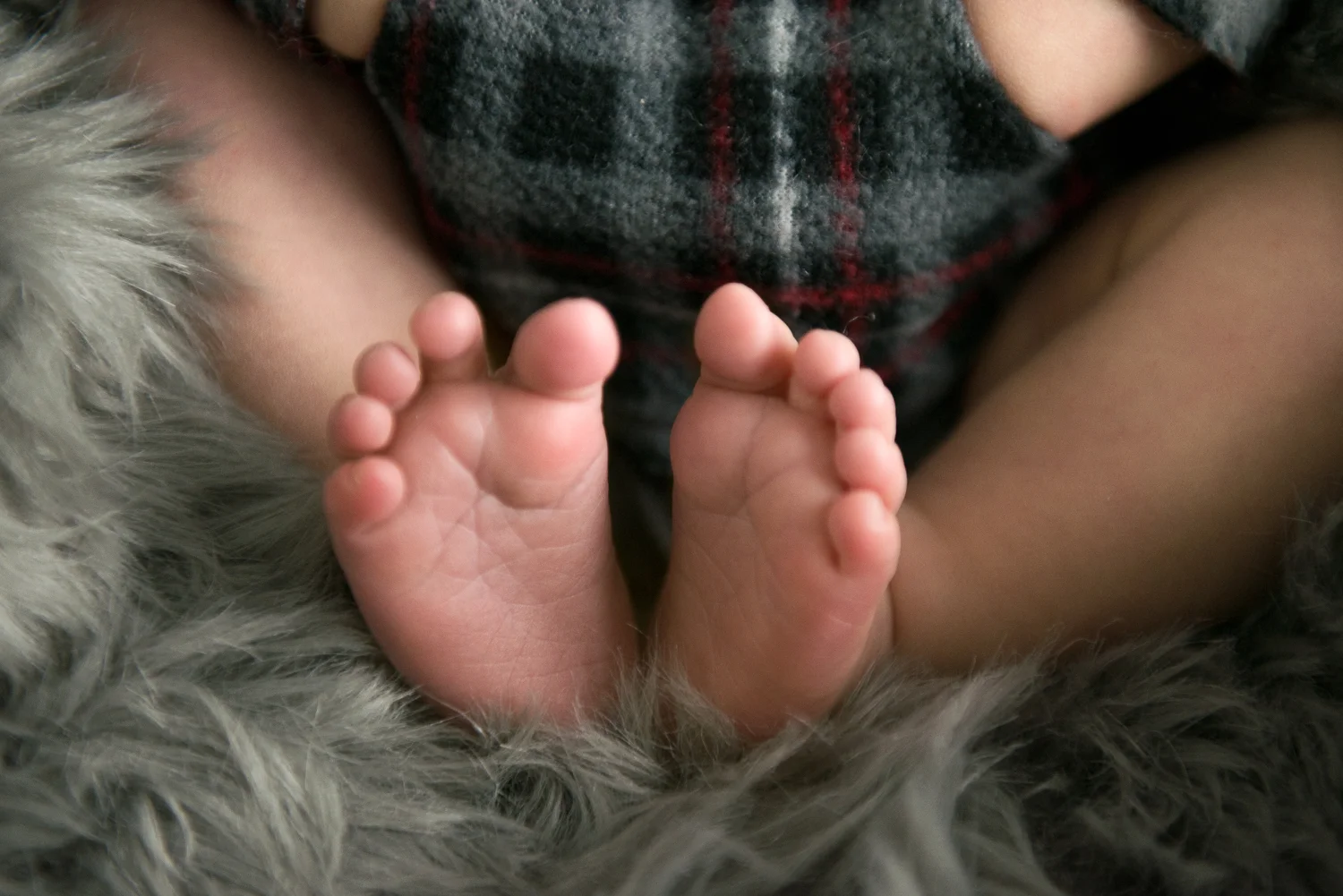 Newborn and Portrait Photography