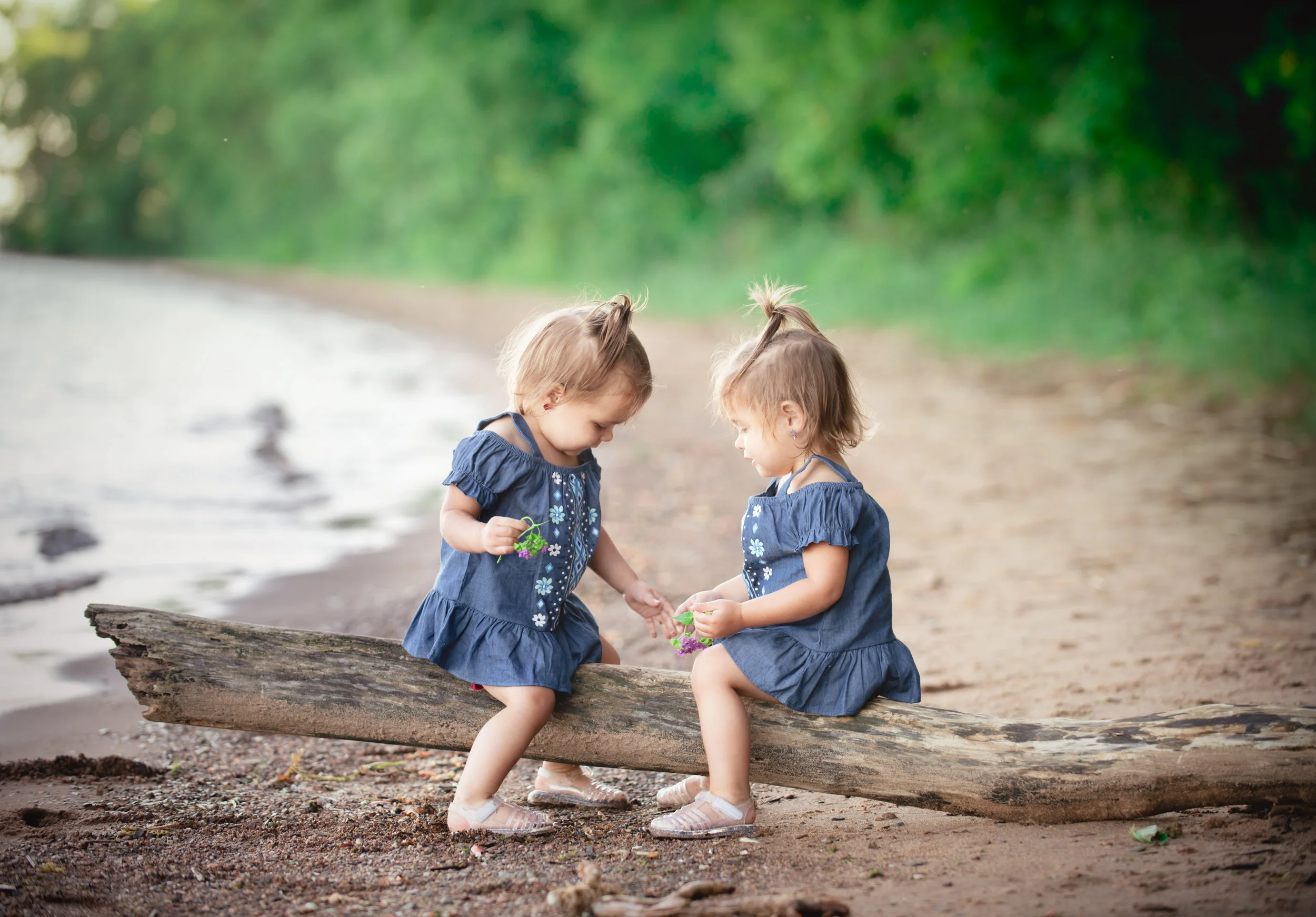 Newborn and Portrait Photography