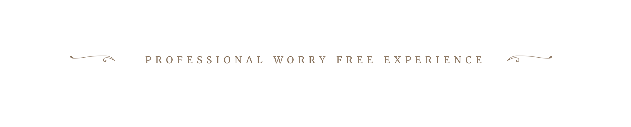 PROFESSIONAL WORRY FREE.png