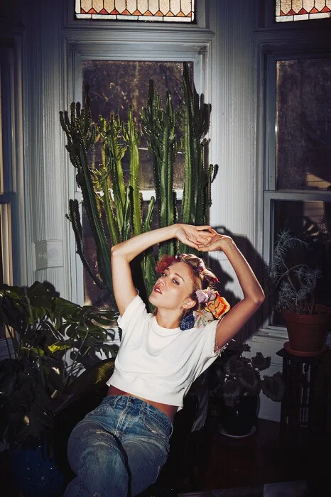 Blog Sheyla De Los Santos