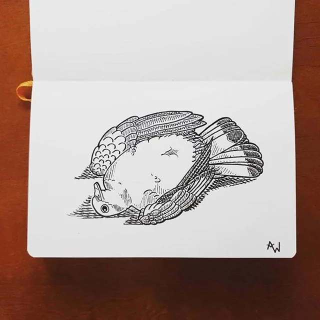 Artwork by @awestbird #exhausted inktober #inktober2018 #art #artistartwork #ink #penandink #draw #drawing #doodle