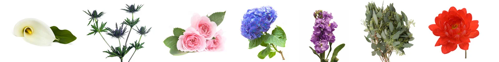 flower_meanings_ben_jen.jpg