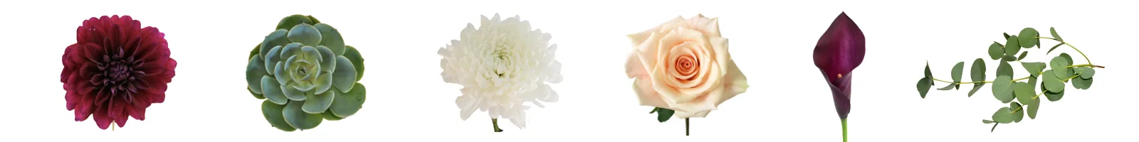 ross_kassie_wedding_flower_meanings_perennia.jpg